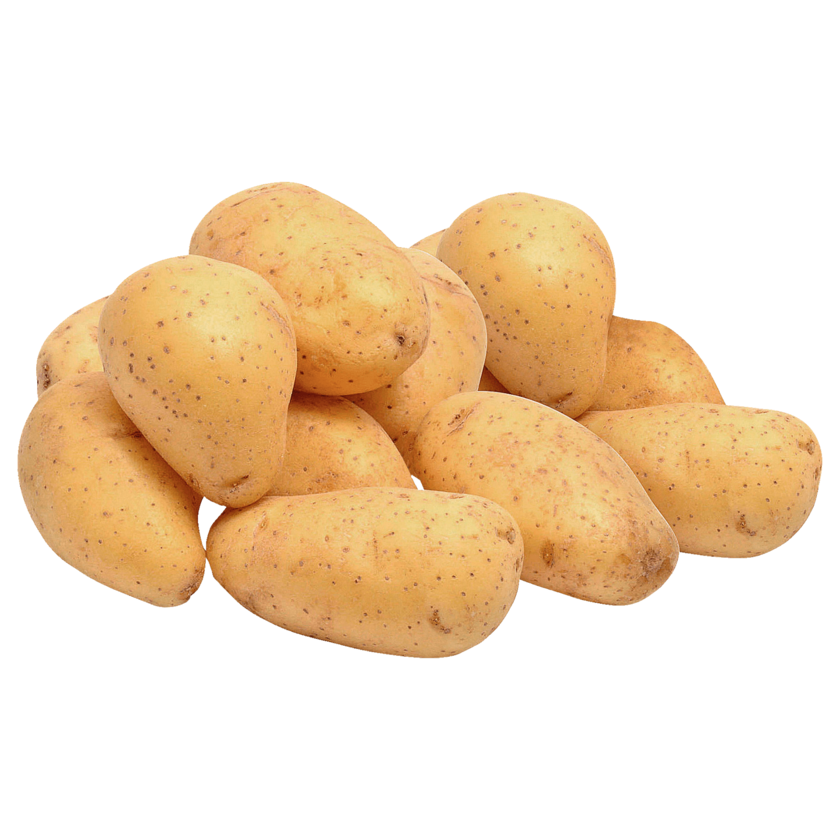 Kartoffeln Gunda mehligkochend aus der Region 2,5kg
